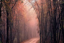 开云体育APP下载-0.7秒屠龙！东契奇神迹之夜，独行侠险胜背后的超级英雄密码