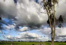 开云体育app-葡萄牙险胜切尔西1:0，哈兰德逆转建功亚洲杯