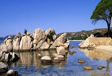 开云体育中国-内马尔亚洲杯奇迹：力克英格兰后的灵魂对话